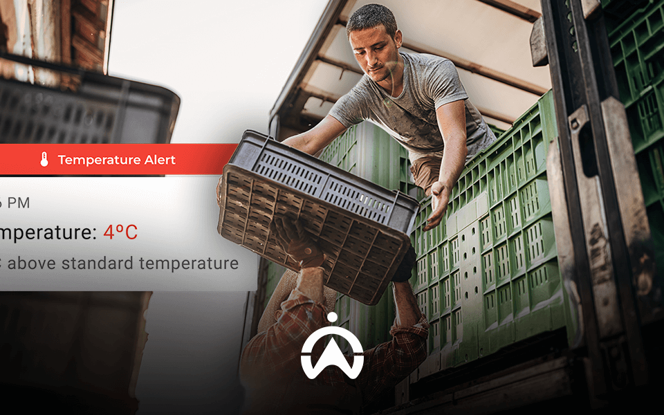 A worker lifts a crate while a temperature alert indicates 4°C, 2°C above the standard, signifying a potential issue with storage conditions.